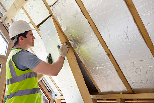 Best Best Insulation Companies  in Strum, WI